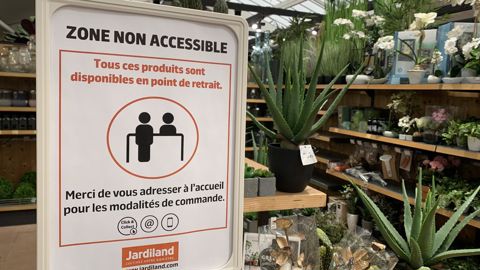 Lors des premiers confinements, la fermeture des circuits de commercialisation avait empêché ou restreint l’écoulement de la production horticole. Photo d’archive2020. ©François Arnould